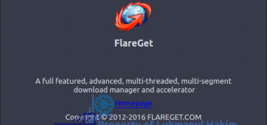 About FlareGet